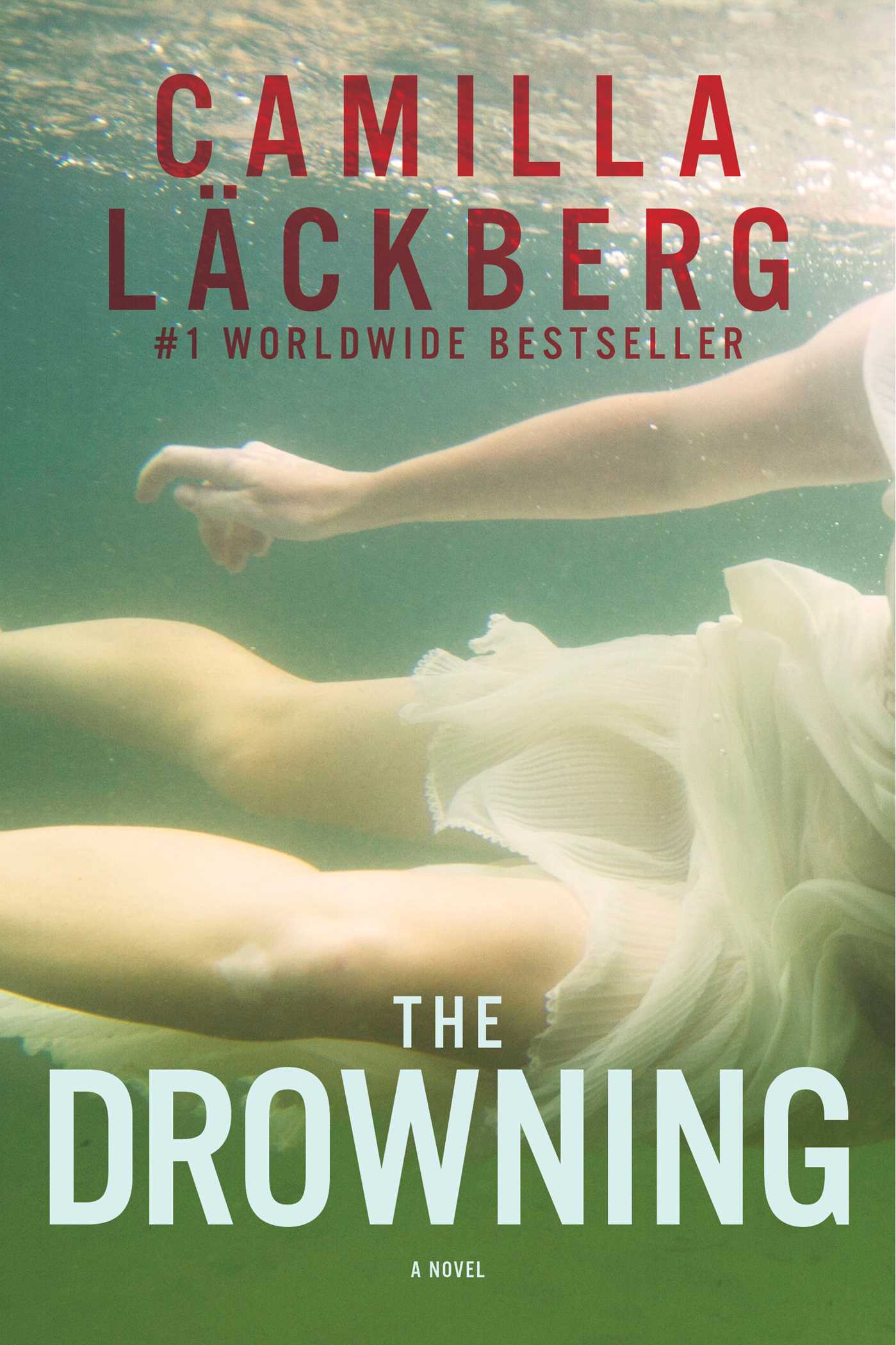 drowning instinct book drowning instinct book